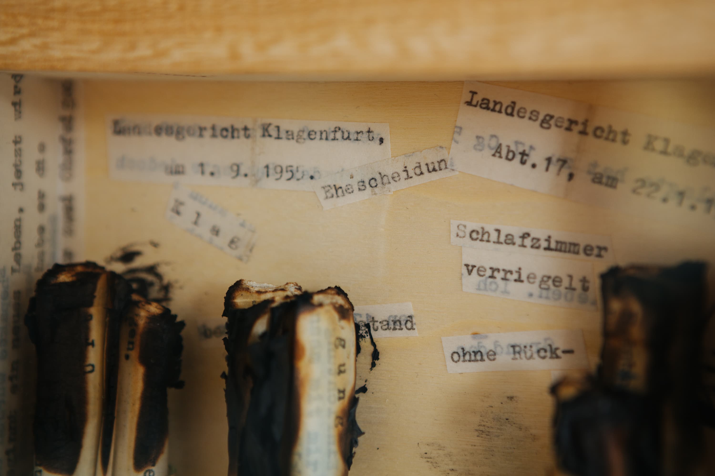 Mut 1956, Papier, Glas Holz - Originaldokument 1956