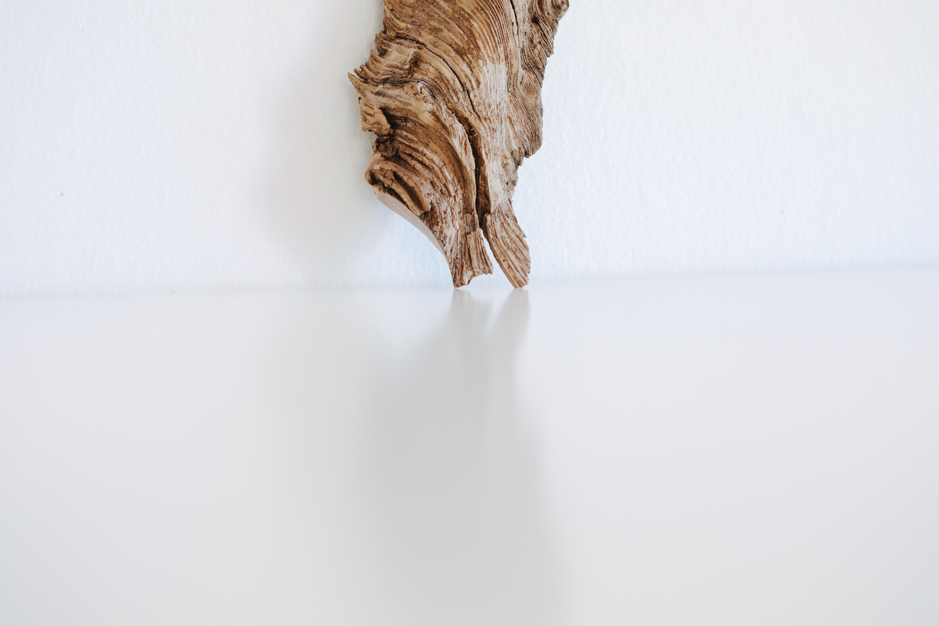 Harzeinschluß, sabinebiedermannphotography.com-9638