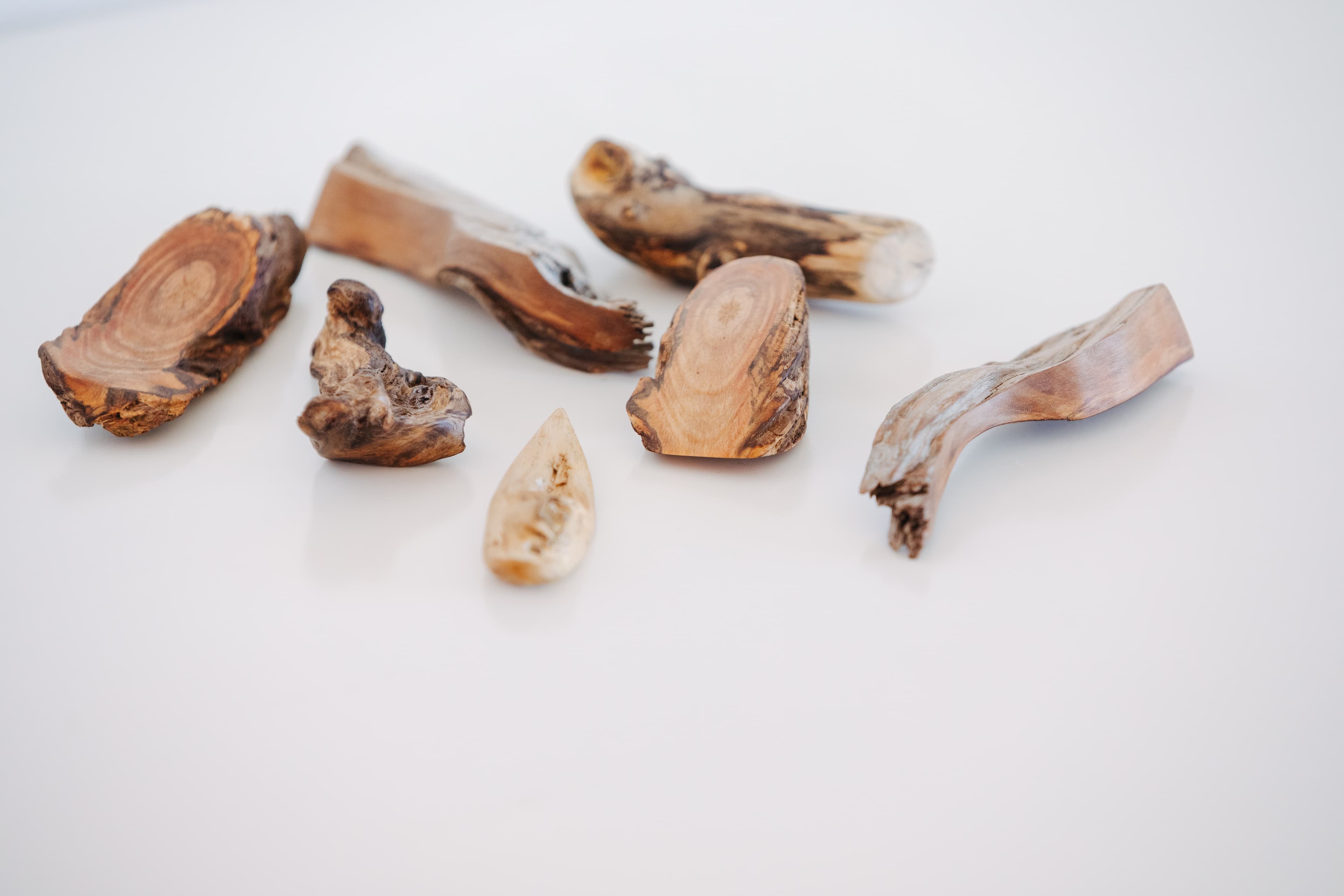 Sieben Fundstücke aus Holz, auf weißer Fläche arrangiert